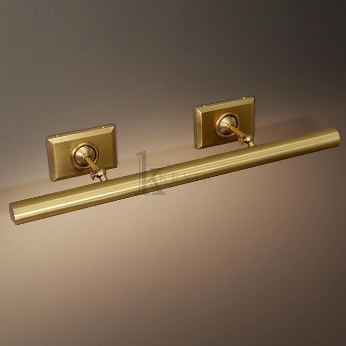 Anite Picture Light