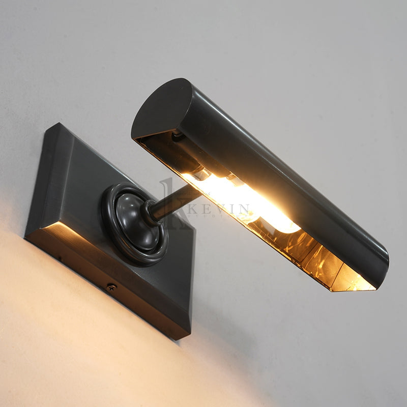 Anite Picture Light