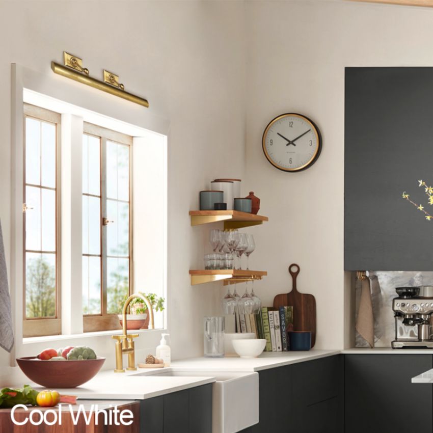 Anite Picture Light